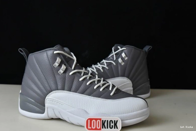 AIR 12 JORDAN CT8025-610 STEALTH 0704